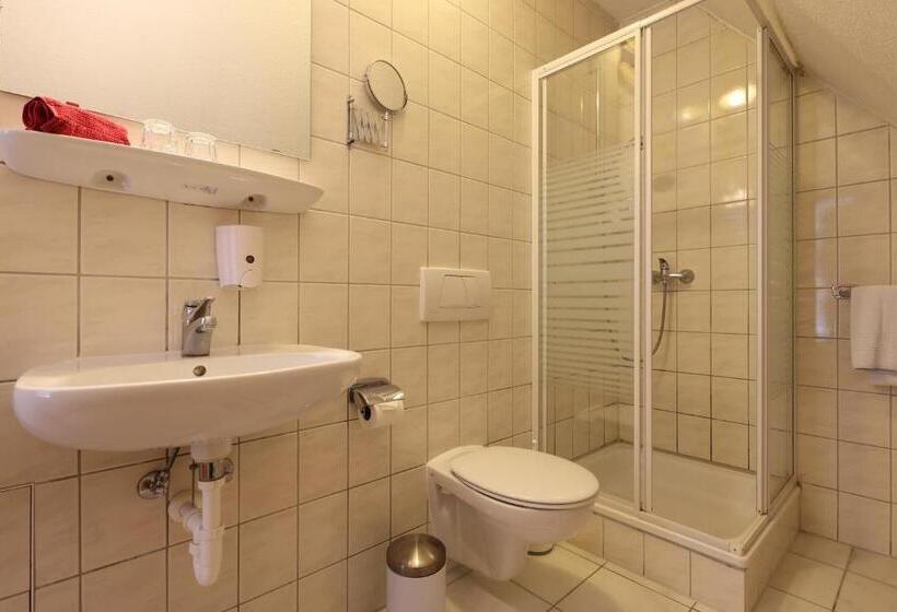 חדר סטנדרט, Gasthof Schiff