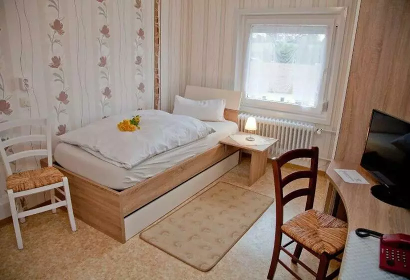 اتاق استاندارد یک نفره, Landgasthof Deutsches Haus