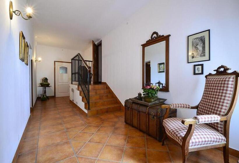 Семейное Студио, Pensjonat Akacja