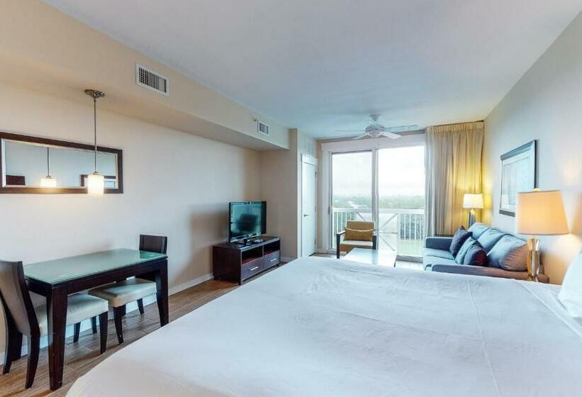 스탠다드 스튜디오, Sandestin Elation #5616