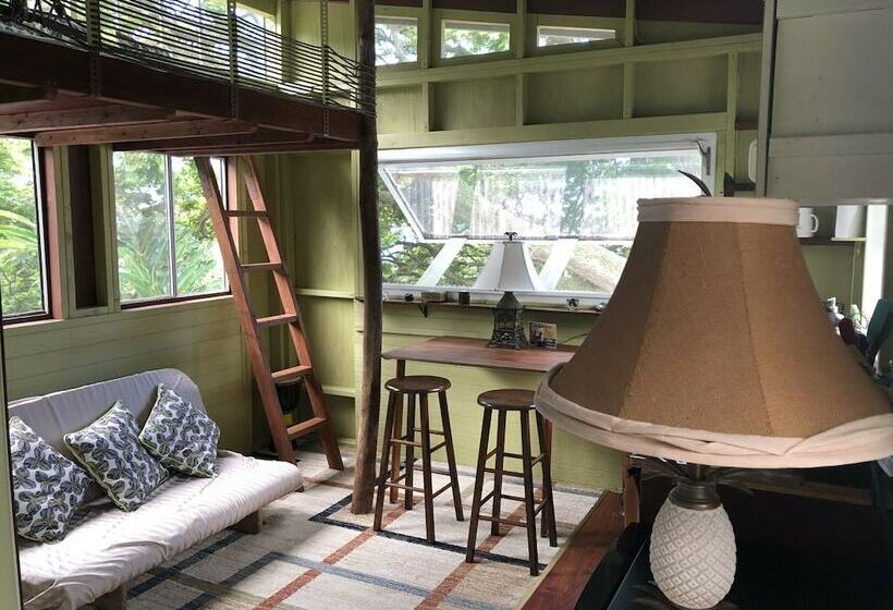 شقة عائلية, Dragonfly Ranch