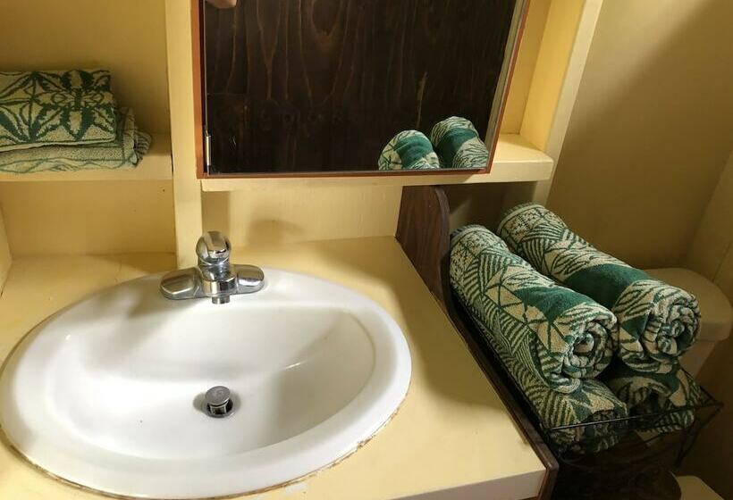 شقة عائلية, Dragonfly Ranch