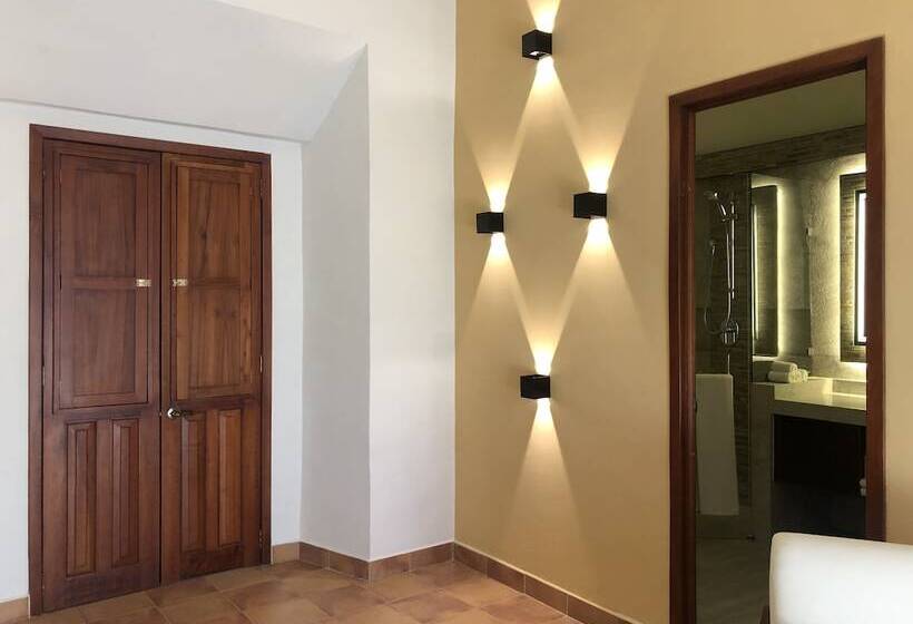 اتاق لوکس با چشمانداز شهر, Casa De La Asunción