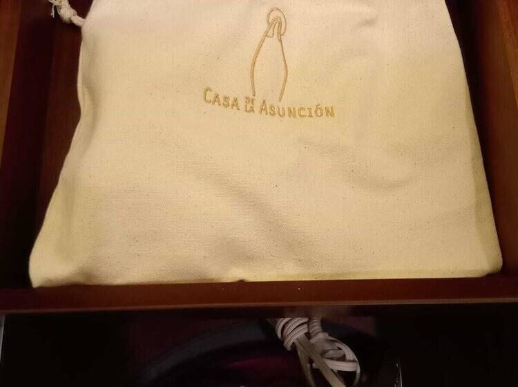 اتاق لوکس با چشمانداز شهر, Casa De La Asunción