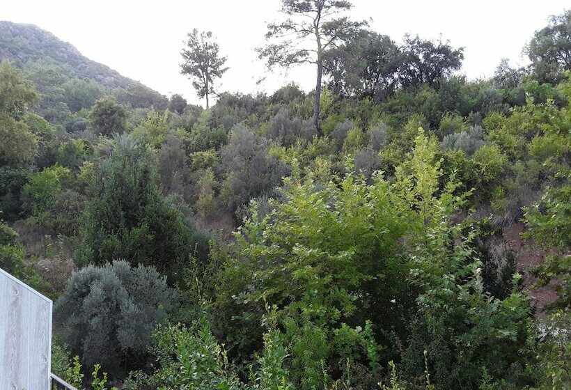 آپارتمان لوکس 1 خوابه, Waldvilla