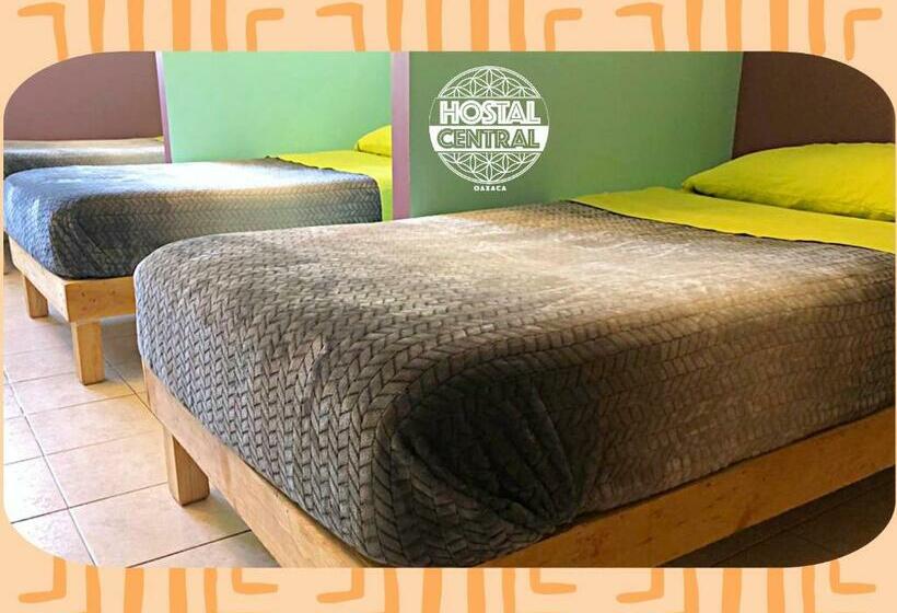 تختخواب در اتاق مشترک, Hostal Central Oaxaca