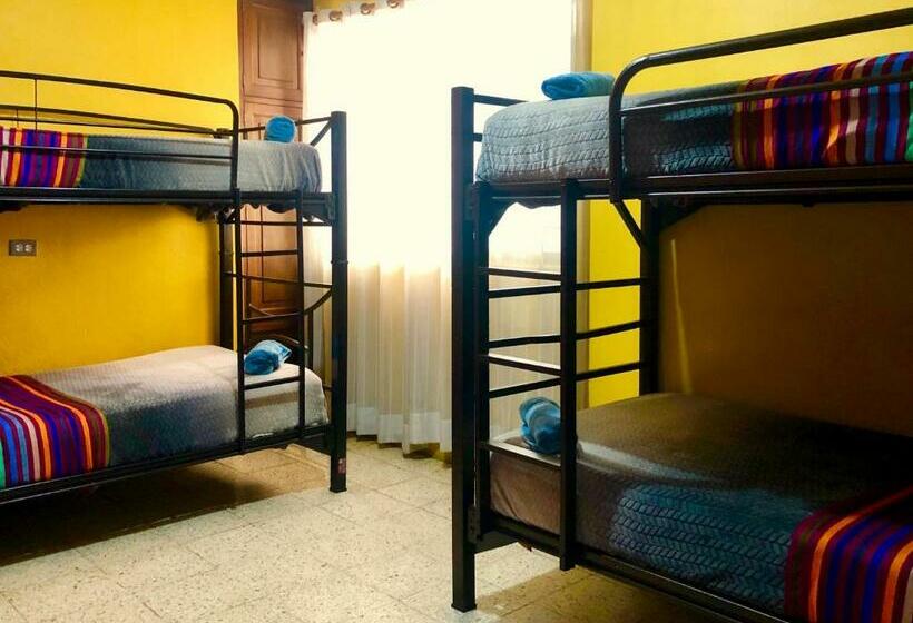 تختخواب در اتاق مشترک, Hostal Central Oaxaca