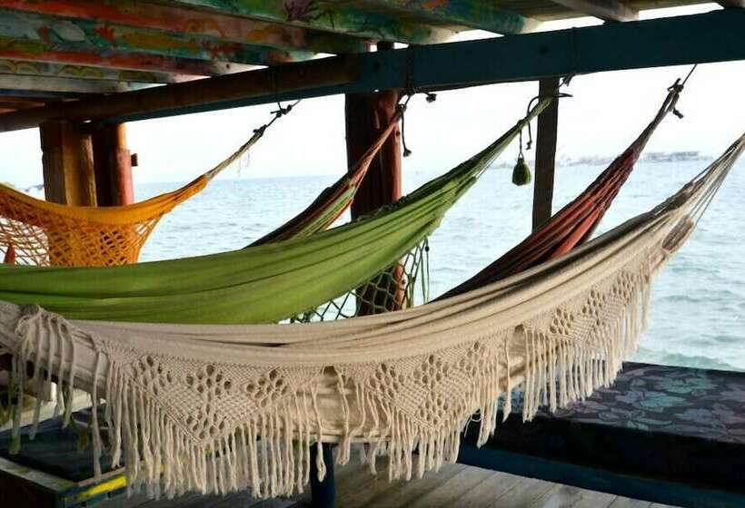 共用房间的床, Acuarimantima