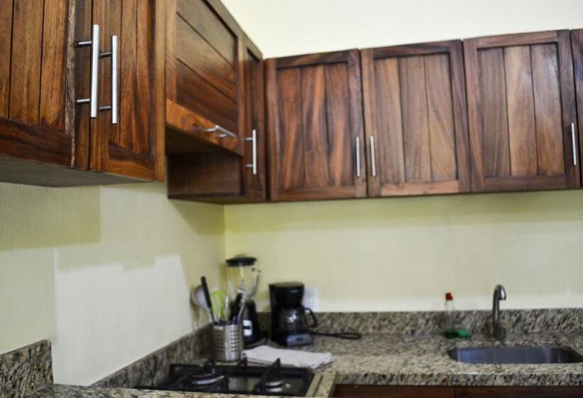 コンフォートワンルーム, Verde Luna