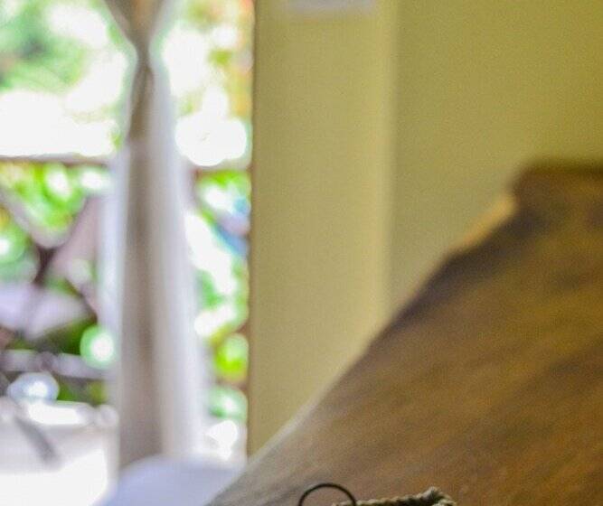 コンフォートワンルーム, Verde Luna