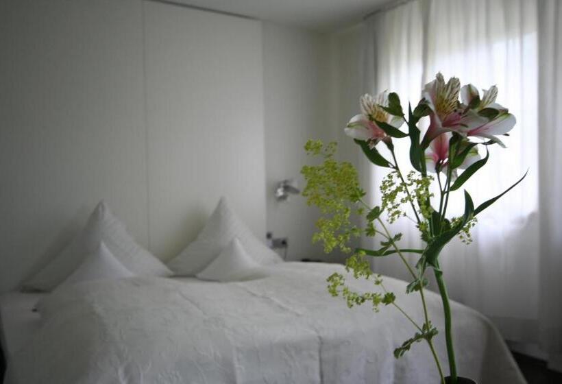 컴포트 룸, Am Main