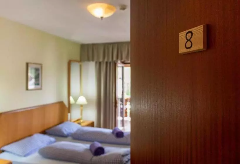 Standard-huone Vuoristonäkymä, Appartements Pension Sonia
