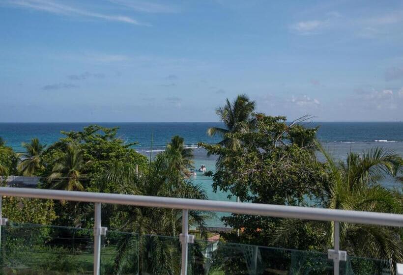 带1个卧室的公寓, Neptuno Refugio