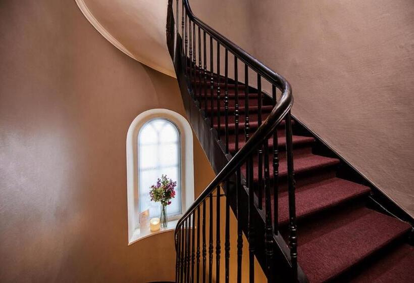 Basic Room, Rose Red