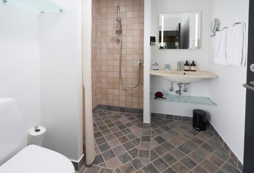 Superior Room, Trinity Hotel Og Konference