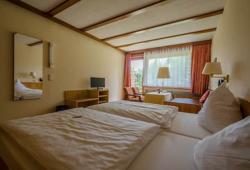 Номер Стандарт, Wagners Hotel Im Fichtelgebirge