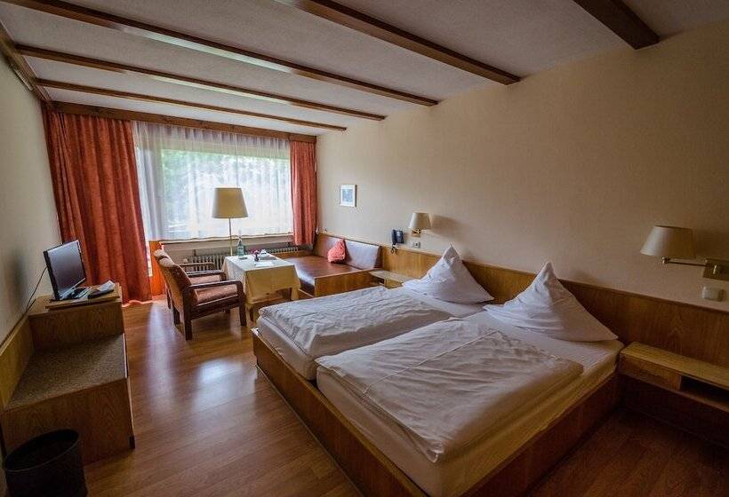Номер Стандарт, Wagners Hotel Im Fichtelgebirge