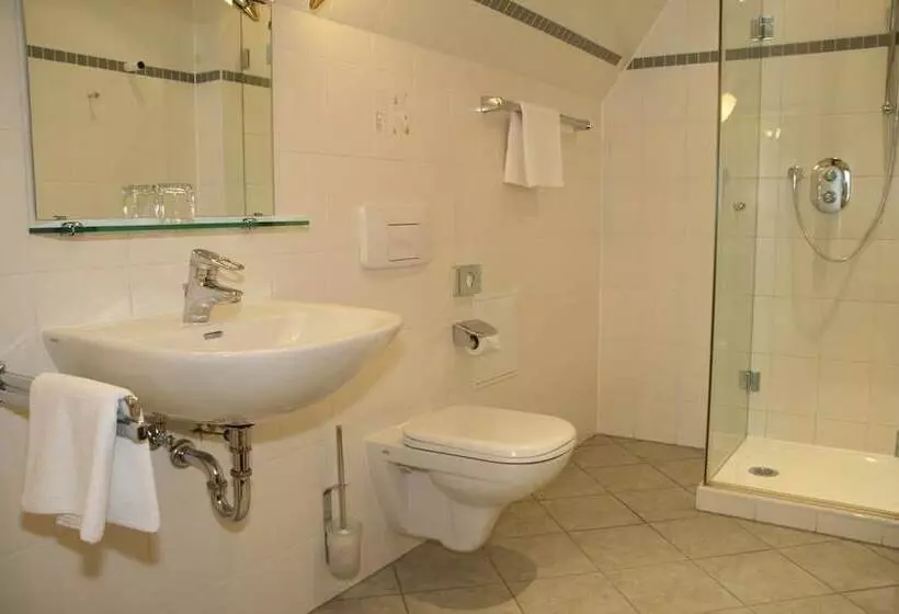 اتاق استاندارد یک نفره, Landhotel Zum Hessenpark