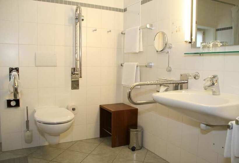 Номер Комфорт, Landhotel Zum Hessenpark