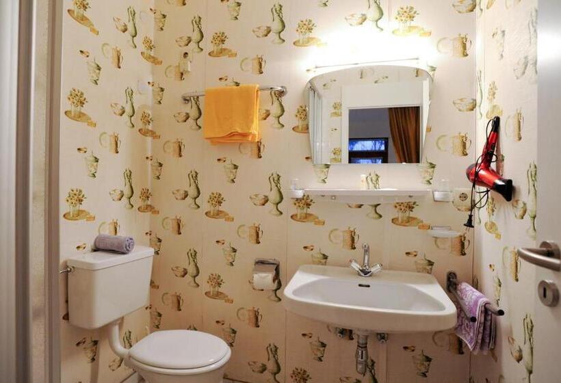 חדר סטנדרט, Parkhotel 1970