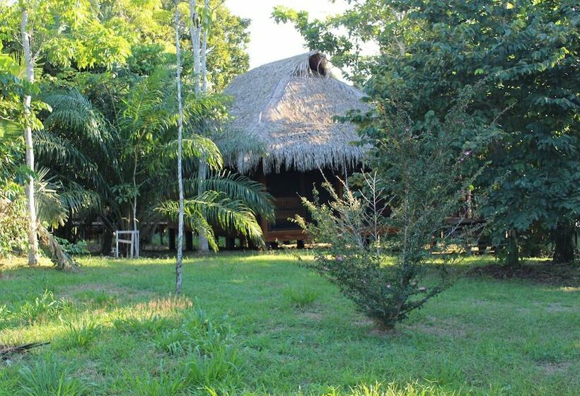 بانگلوی استاندارد, Uni Rao Centro Ecológico