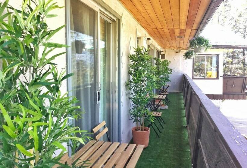 استودیوی لوکس, Celadon Lodge