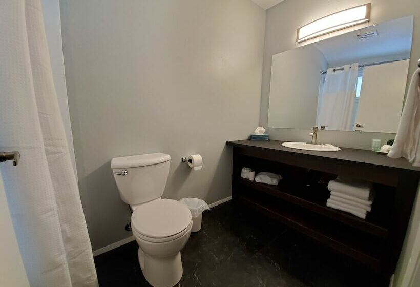 استودیوی لوکس, Celadon Lodge