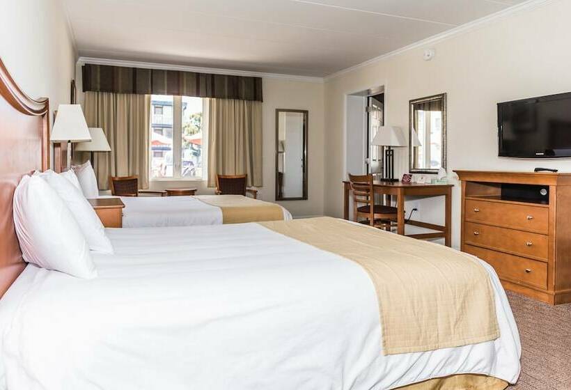 Люкс Повышенной Комфортности, Desert Sand Resort