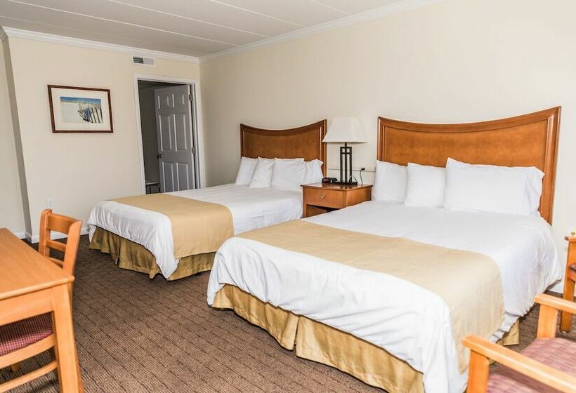 豪华套房, Desert Sand Resort