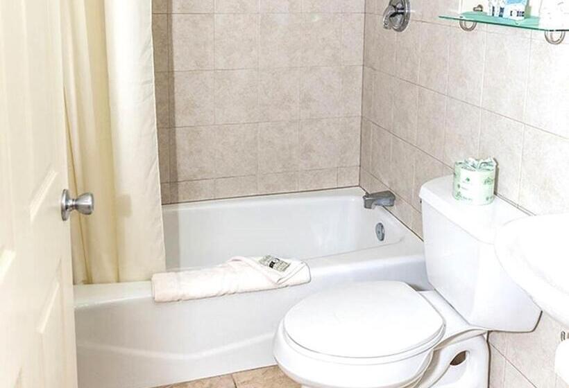 豪华套房, Desert Sand Resort