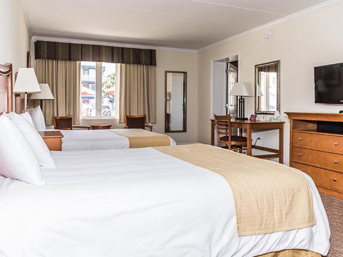 Family Suite, Desert Sand Resort