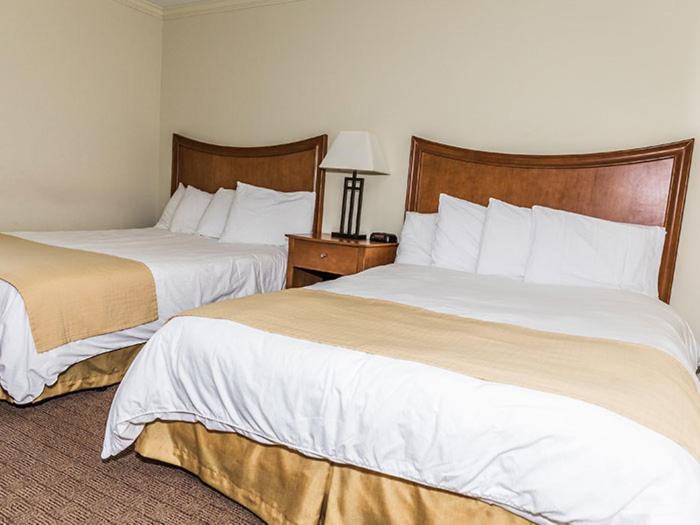 家庭套房, Desert Sand Resort