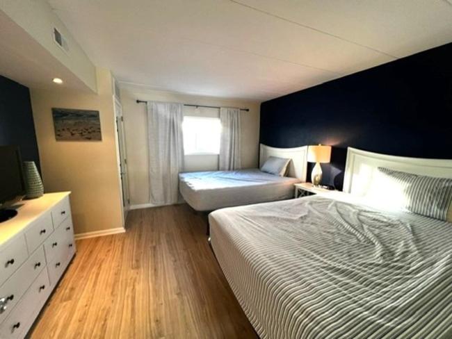 高级套房, Desert Sand Resort