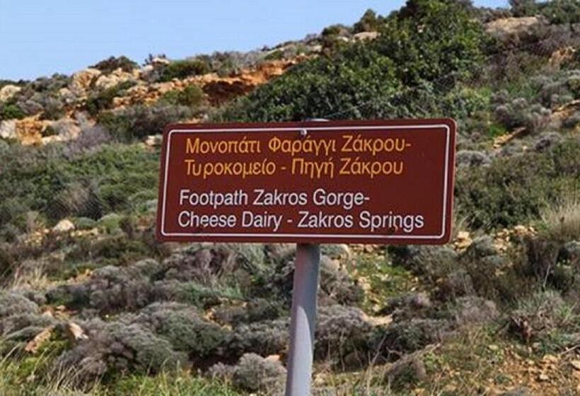 חדר סטודיו סטנדרד, Zakros Rooms Restaurant