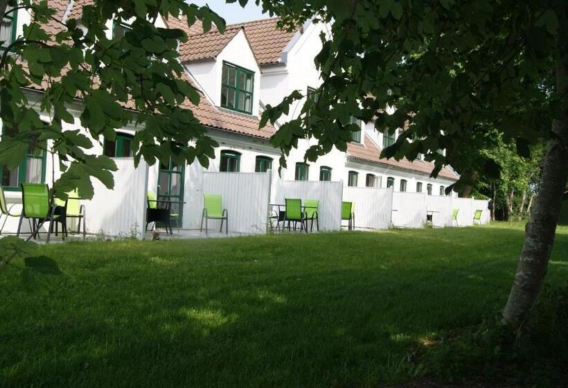 Апартаменты 1 Спальня с Террасой, Nygaard Læsø