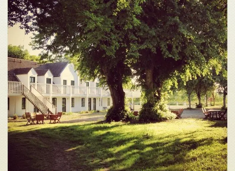 スタンダードルーム, Nygaard Læsø