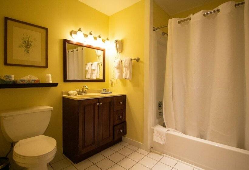 스탠다드 룸, Beekman Arms And Delamater Inn