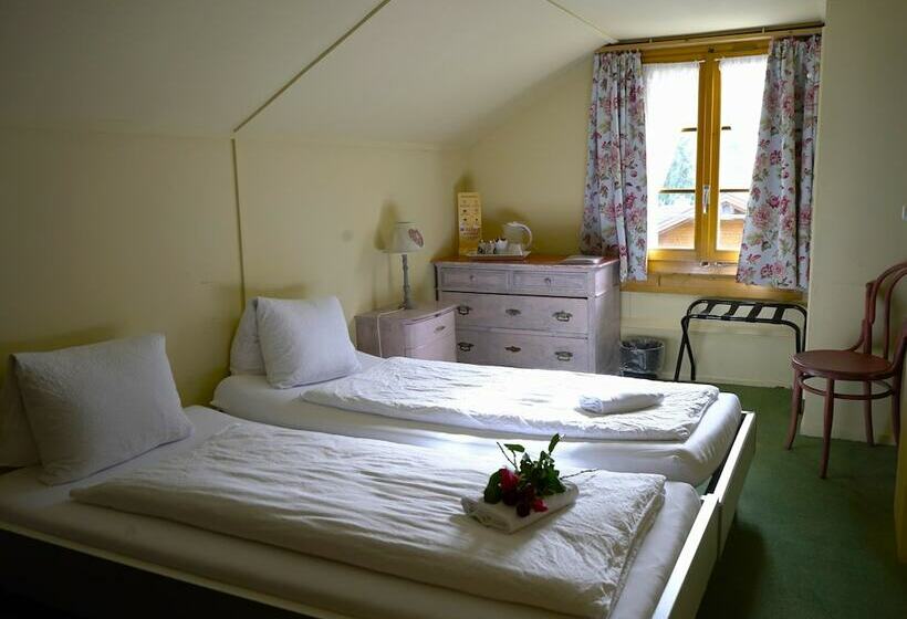 חדר סטנדרט חדר אמבטיה משותף, Edelweiss Lodge