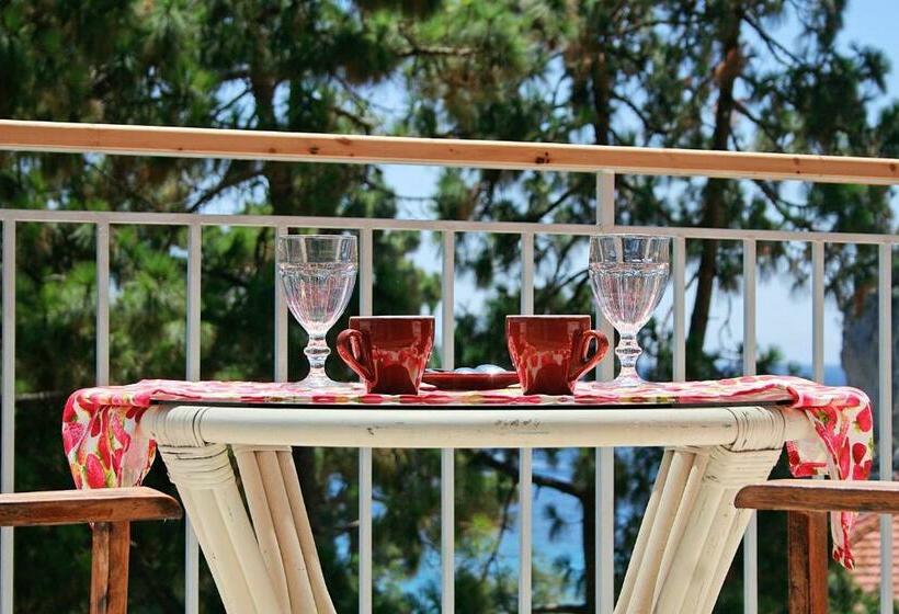 اتاق اساندارد با چشم‌انداز جانبی به دریا, Zefiros Traditional