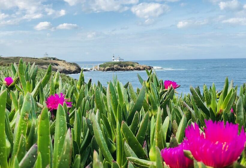 3 Bedroom Premium Apartment, O Faro Apartments