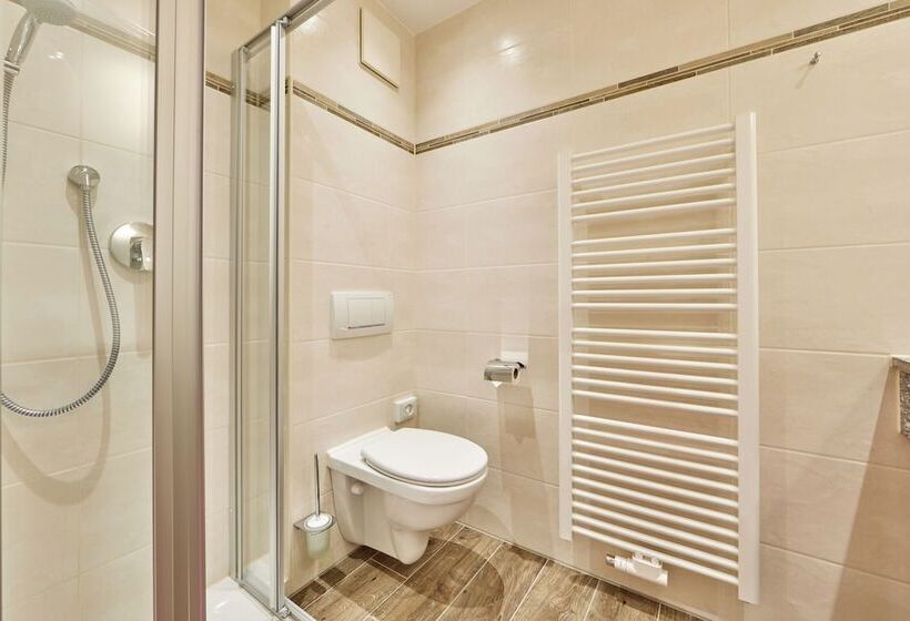 舒适型单人间, Alpenhotel Rieger