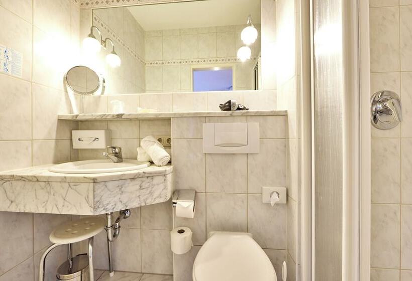 豪华单人间, Alpenhotel Rieger