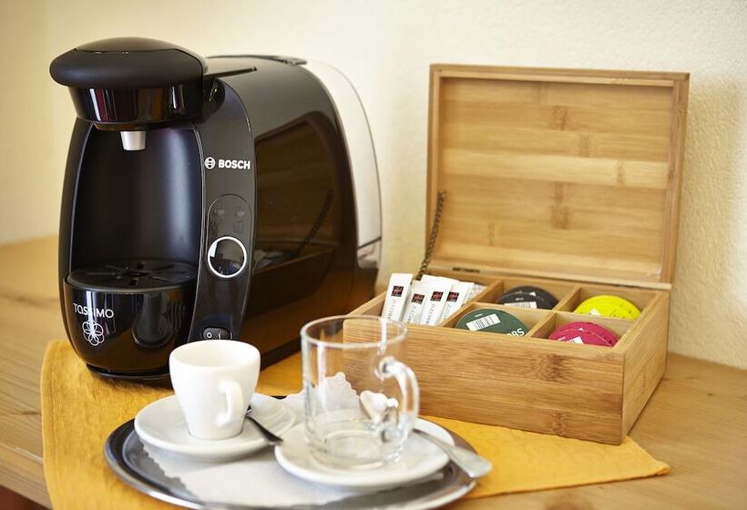 豪华单人间, Alpenhotel Rieger