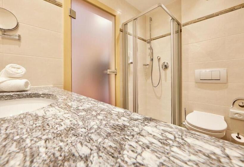 Номер Комфорт Индивидуальный, Alpenhotel Rieger
