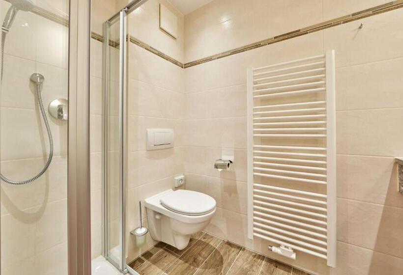 舒适型单人间, Alpenhotel Rieger