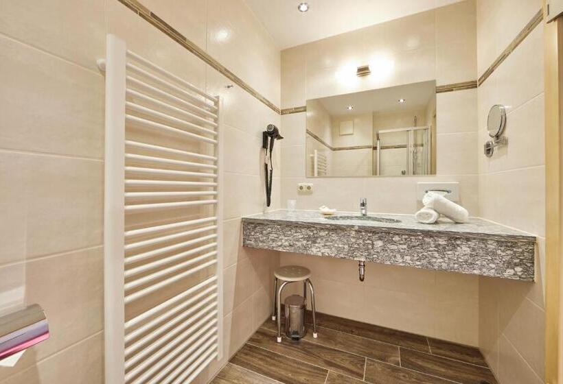 舒适型单人间, Alpenhotel Rieger