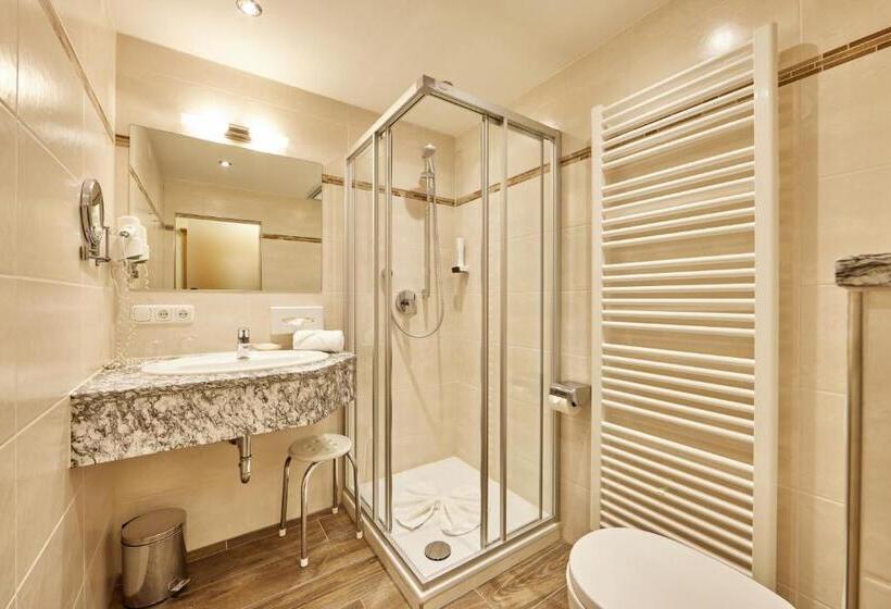 小型套房, Alpenhotel Rieger