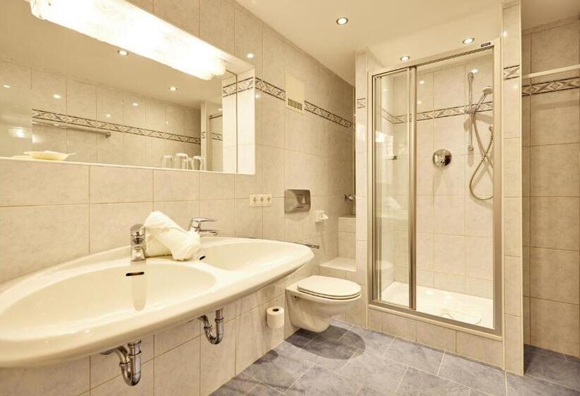 Полулюкс, Alpenhotel Rieger
