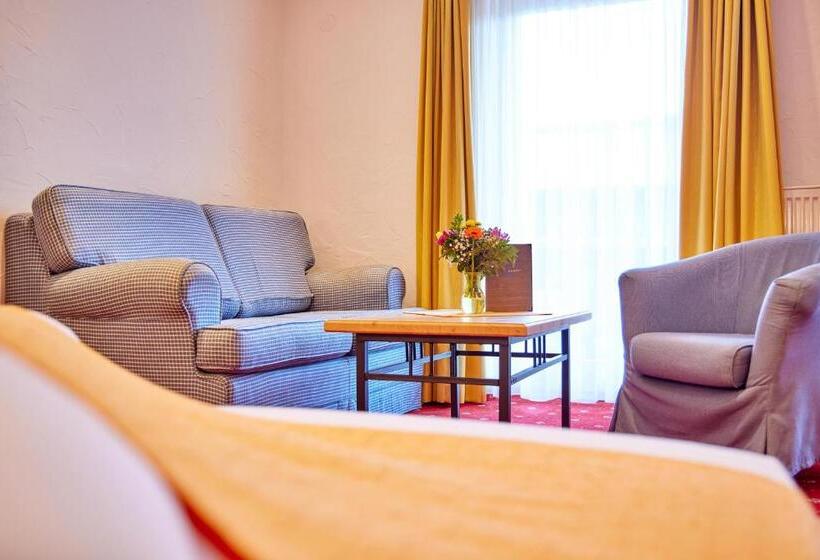 小型套房, Alpenhotel Rieger