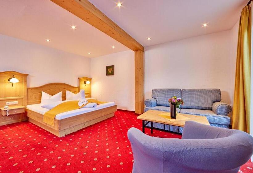 小型套房, Alpenhotel Rieger